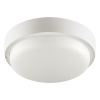 LCL_04_12w_1 (1)