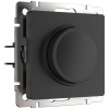 WL08-DM600